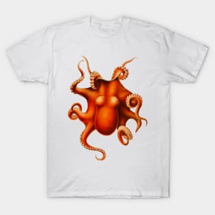 Octopus Release the Kraken Nautical Sea Ocean Animal T-Shirt